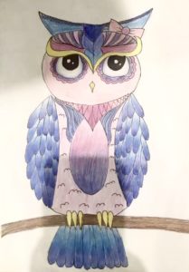 Owl - Drawing Class