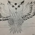 Owl - Drawing Class