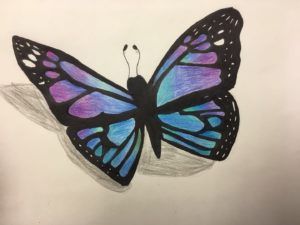 Butterfly - Drawing Class