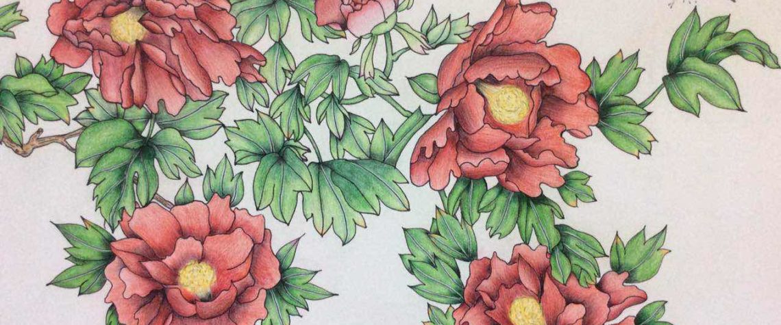 Flower - Drawing Class