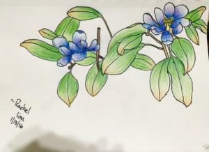 Blue Flower - Drawing Class