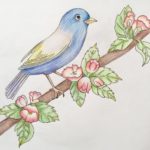 Bird - Drawing Class