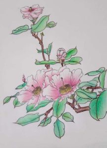 Flower - Drawing Class